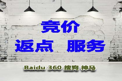 SEM竞价代运营公司案例创新解析